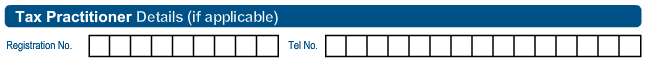 Screenshot of EMP 201 Tax Practitioner part