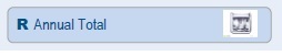 Screenshot of the Annual Total field