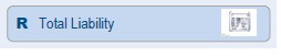 Screenshot of Total Liability field