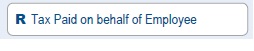 Screenshot of Tax Paid on behalf of Employee field
