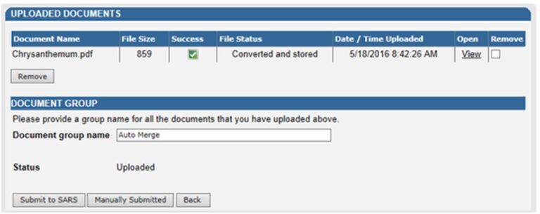 Guide to the Auto Merge Function on eFiling | South African Revenue Service