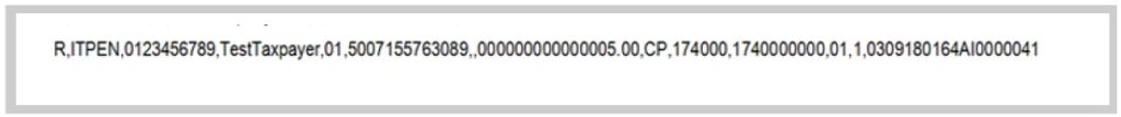 Trailer Record Example Text File Guide to Bulk and Additional Payments on eFiling | South African ...